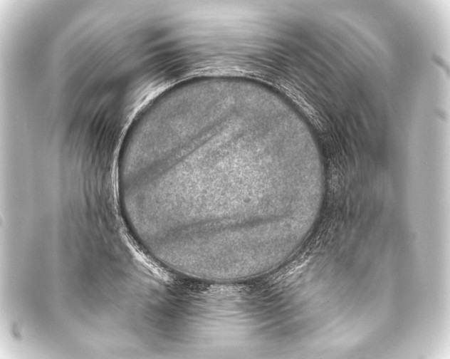 X0000093460840200711021133