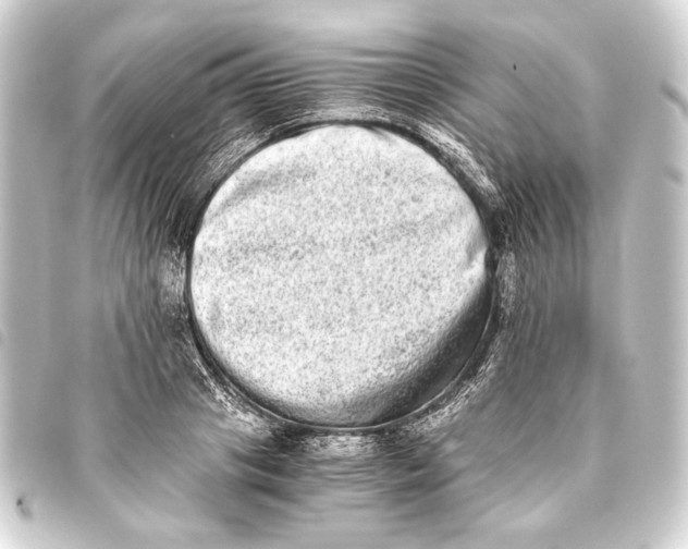 X0000093460841200711021133