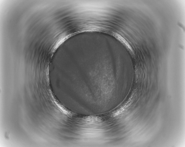 X0000093460842200711021133