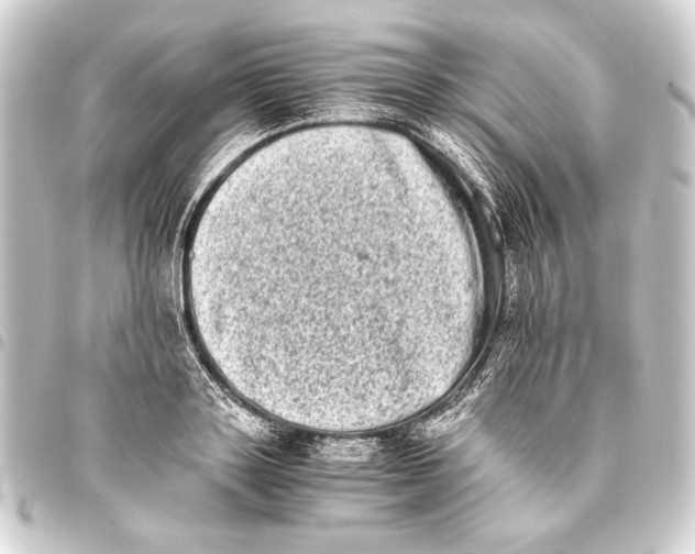 X0000093460843200711021133