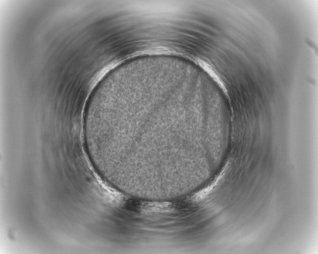 X0000093460845200711021133