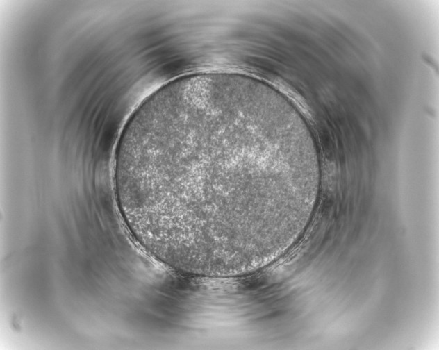 X0000093460856200711021133