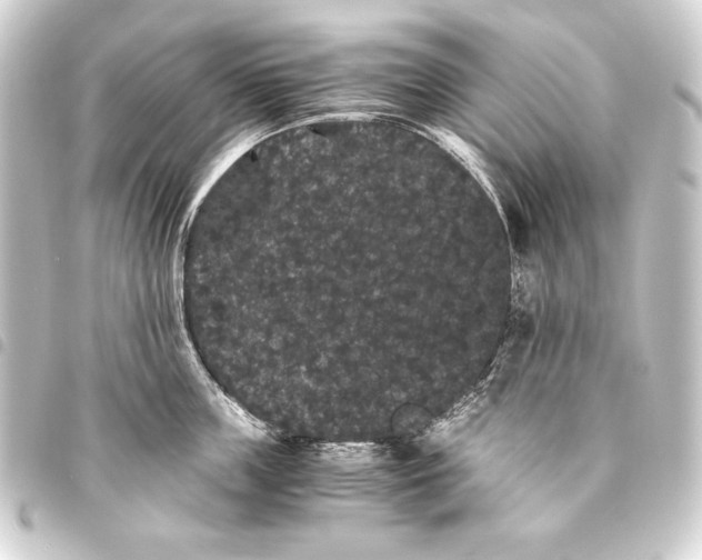 X0000093460859200711021133