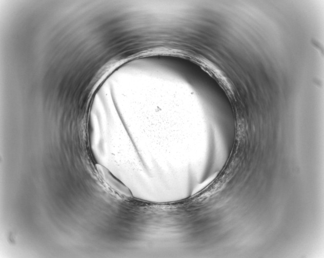 X0000093460860200711021133