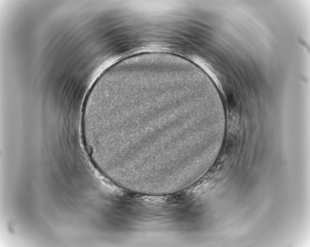 X0000093460861200711021133