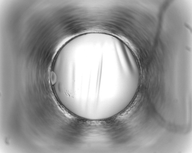 X0000093460862200711021133