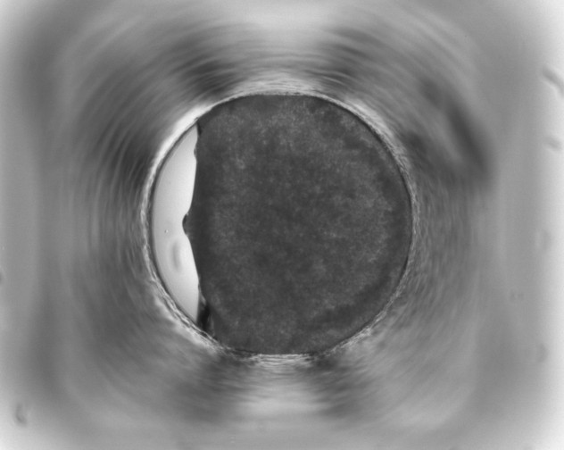 X0000093460864200711021133