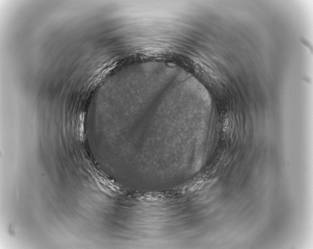 X0000093460868200711021132