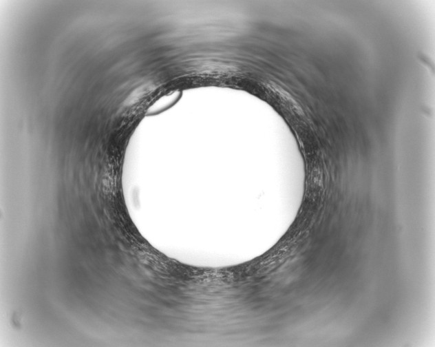 X0000093460869200711021132