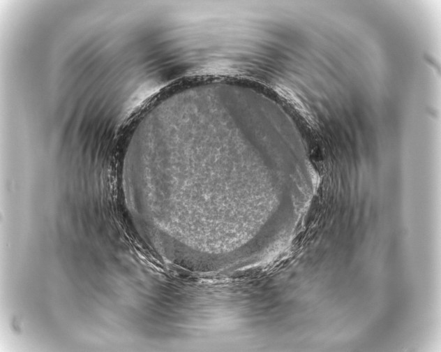 X0000093460872200711021132