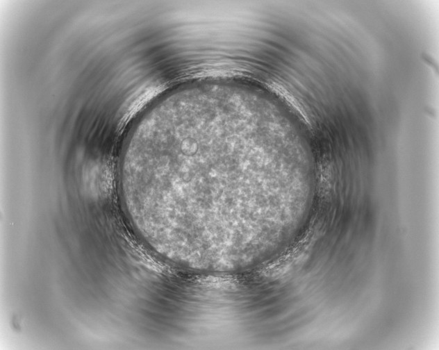 X0000093460874200711021132