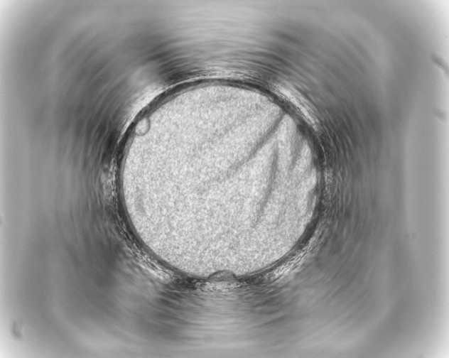 X0000093460875200711021132