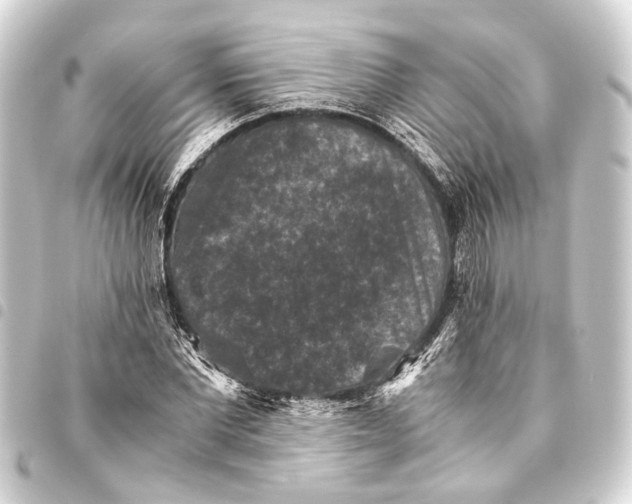 X0000093460877200711021132