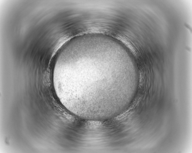 X0000093460878200711021132