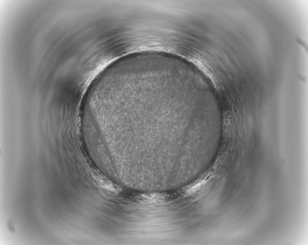 X0000093460879200711021132