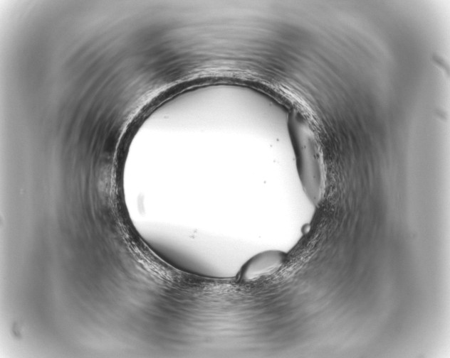 X0000093460880200711021132