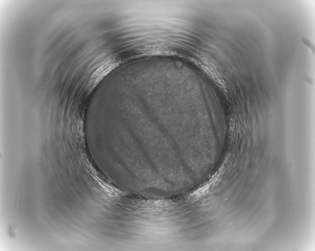 X0000093460881200711021132