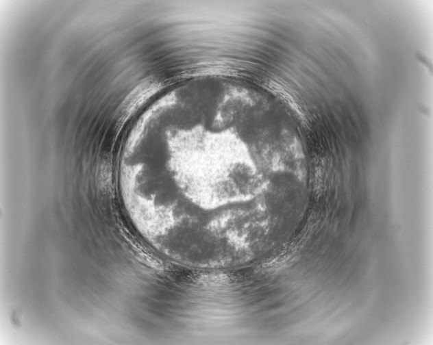 X0000093460882200711021132