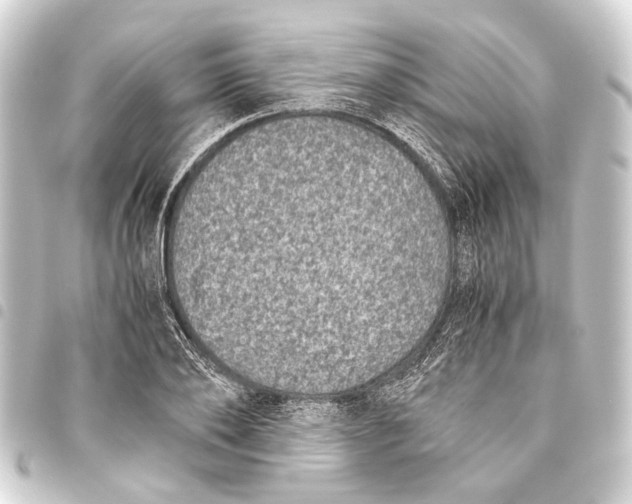 X0000093460886200711021132