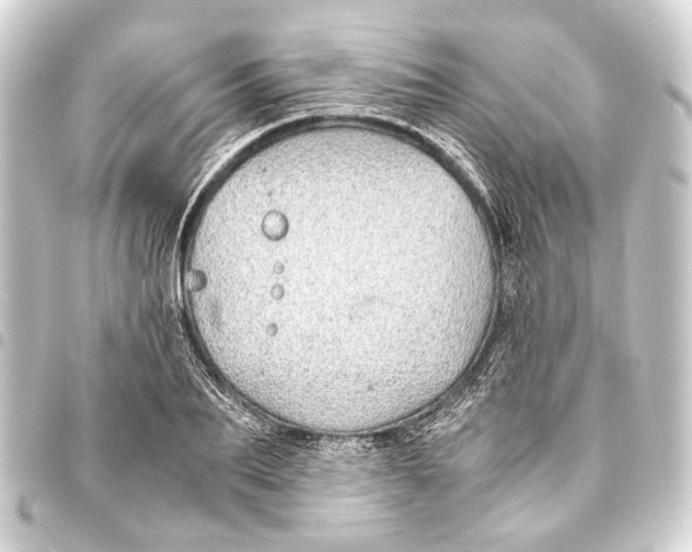 X0000093460887200711021132