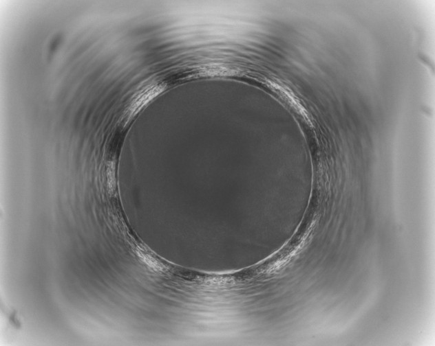 X0000093460889200711021132