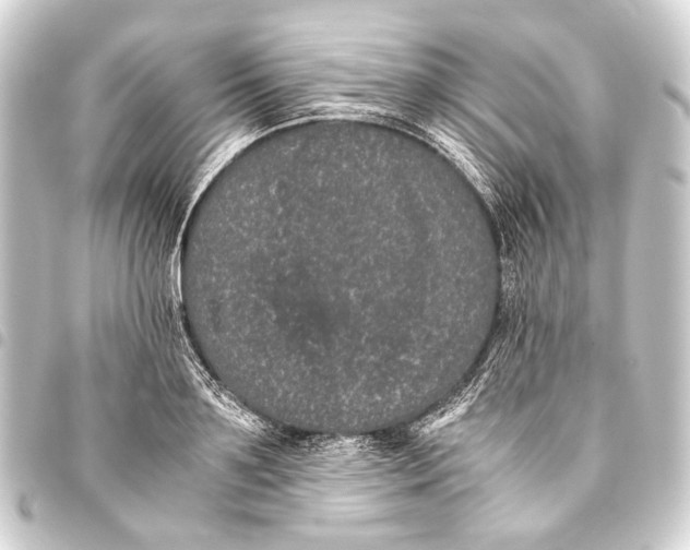 X0000093460891200711021132