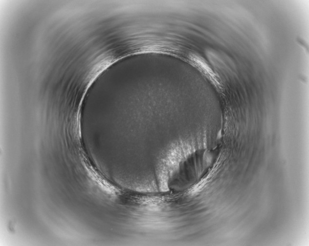 X0000093460892200711021132