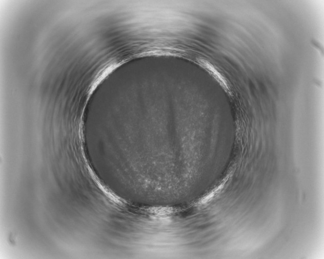 X0000093460893200711021132