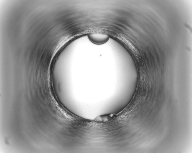 X0000093460894200711021132