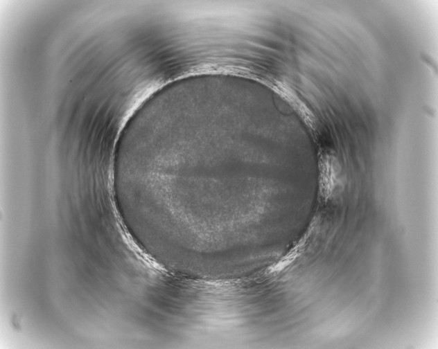 X0000093460896200711021132