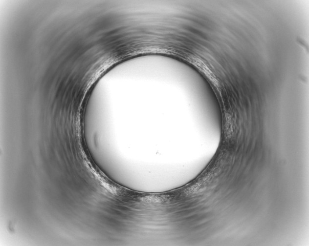 X0000093460898200711021132