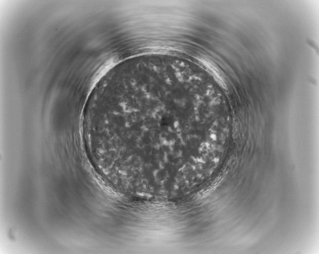 X0000093460899200711021132