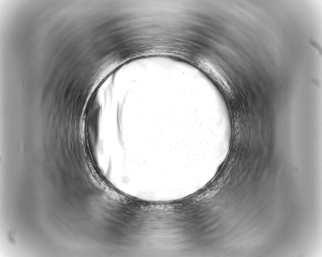 X0000093460900200711021132