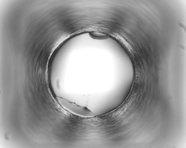 X0000093460902200711021132