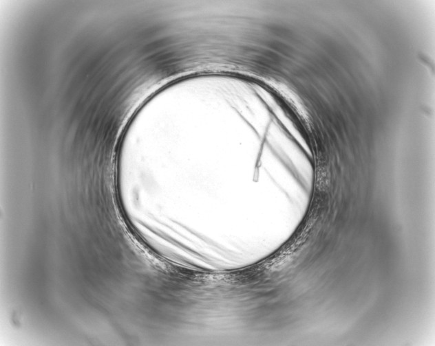 X0000093460903200711021132