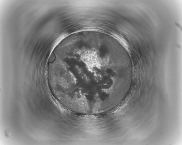 X0000093460907200711021132