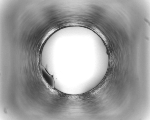 X0000093460909200711021132