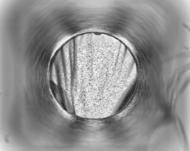 X0000093460910200711021132