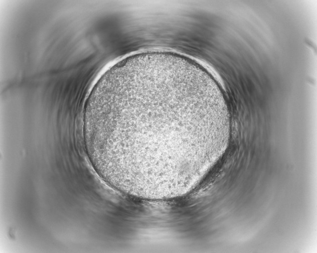 X0000093460911200711021132