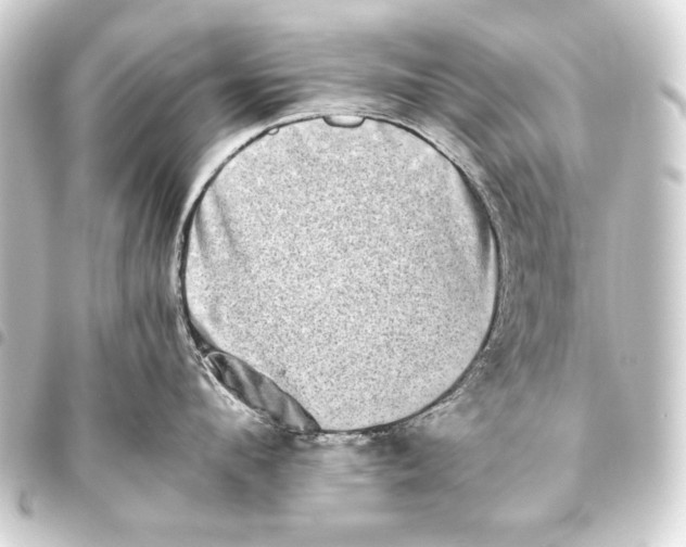 X0000093460912200711021132