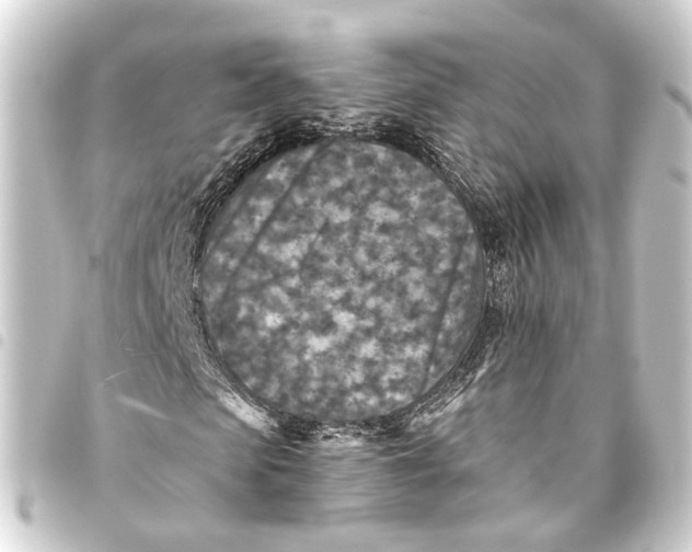 X0000093460913200711021131