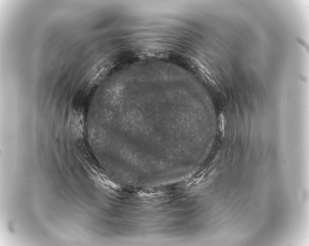 X0000093460915200711021131