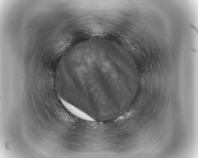 X0000093460916200711021131