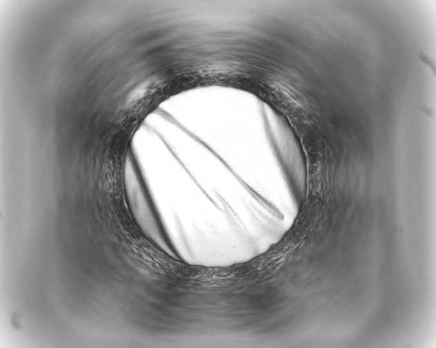 X0000093460917200711021131