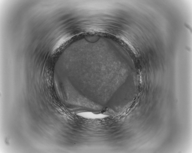 X0000093460919200711021131