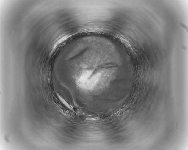 X0000093460920200711021131