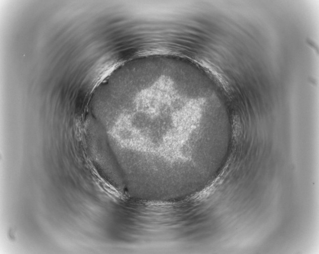 X0000093460921200711021131