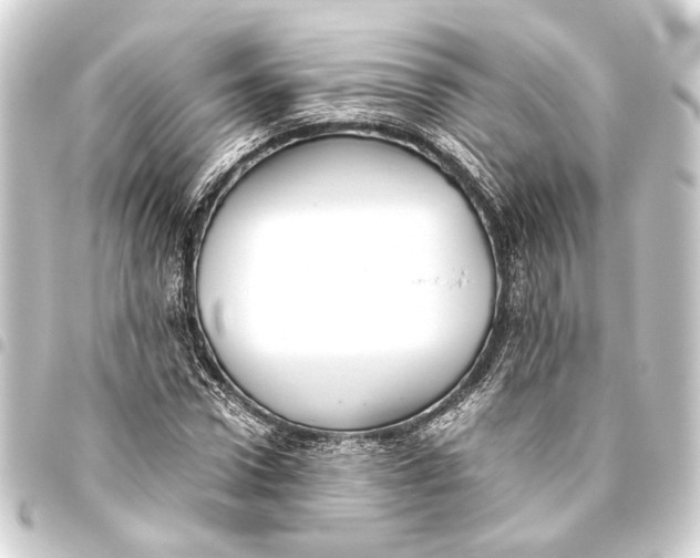 X0000093460922200711021131