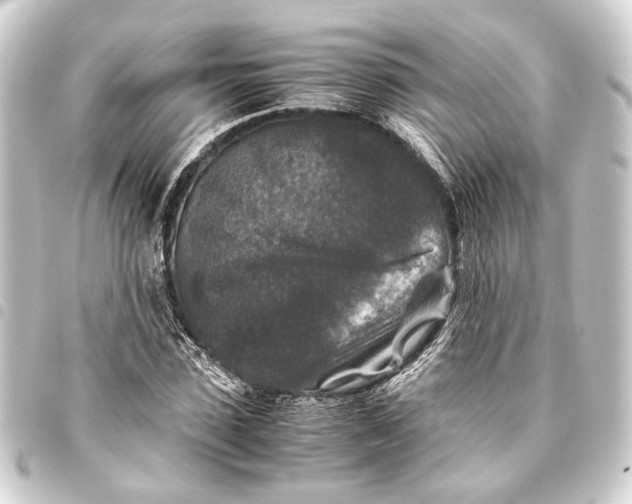 X0000093460923200711021131