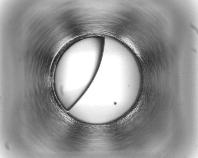 X0000093460924200711021131